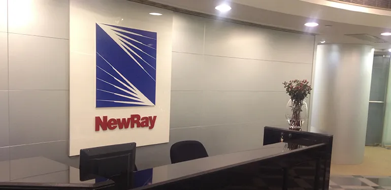 53089 new ray diecast truck