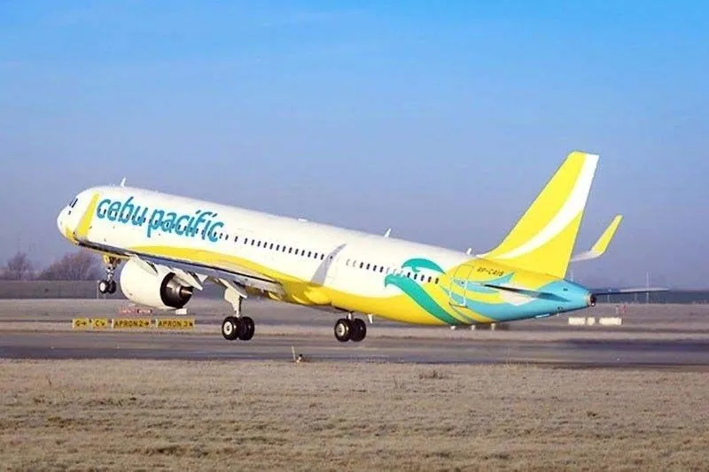 53230 cebu pacific diecast plane collectors display