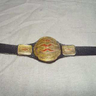 /img/53312-wwe-diecast-belts-display.webp
