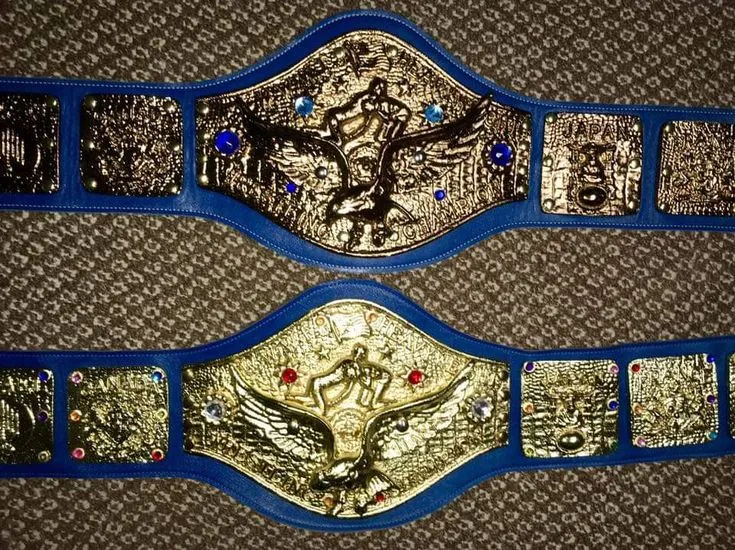 53312 wwe diecast belts limited